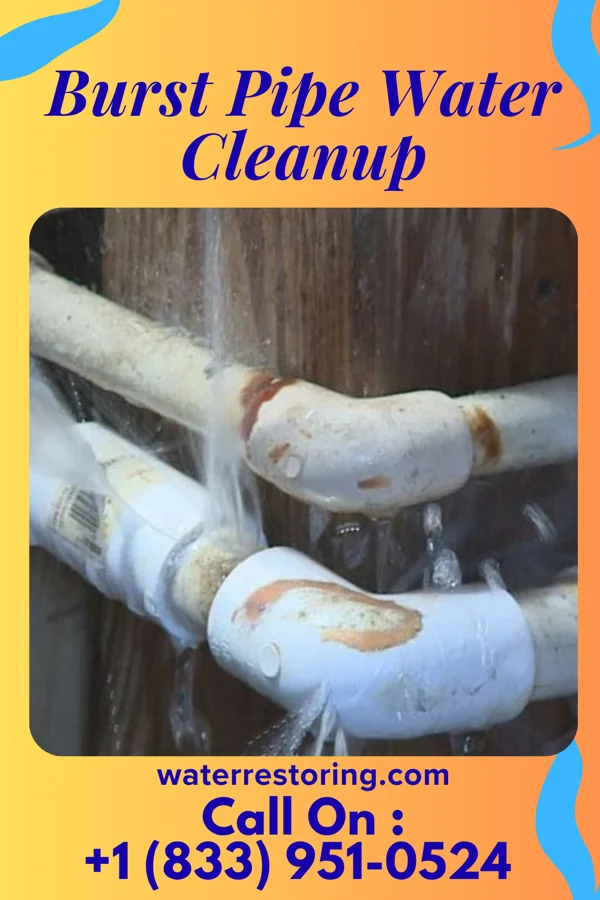 Burst Pipe Water Cleanup in Lordsburg, NM