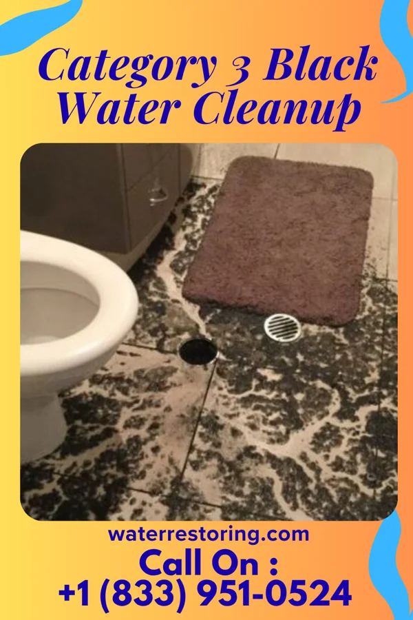 Category 3 Black Water Cleanup in Lordsburg, NM