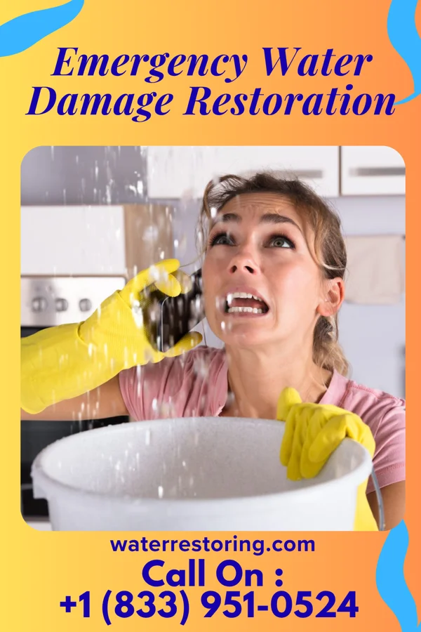Emergency Water Damage Restoration in Lordsburg, NM