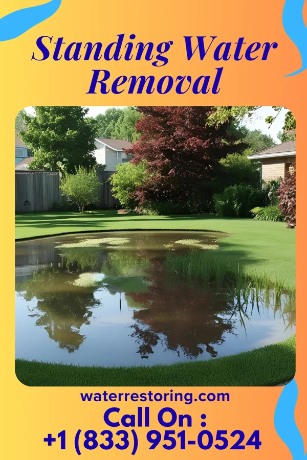 Standing Water Removal in Lordsburg, NM